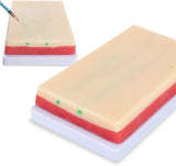 LYOU Injection Training Pad Model Embedded with 4 Veins and 3 Skin Layers