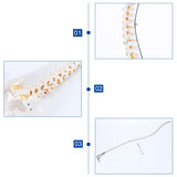 LYOU Human Flexible Spine Model 34" Life Size Spinal Cord Model Anatomical Spine Model for Dispay Teaching Studing