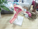 LYOU Life Size Human Uterus and Ovary Model Pathological Uterus Anatomical Model