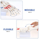 Foot Joint Model