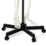 LYOU Skeleton Steel Stand 